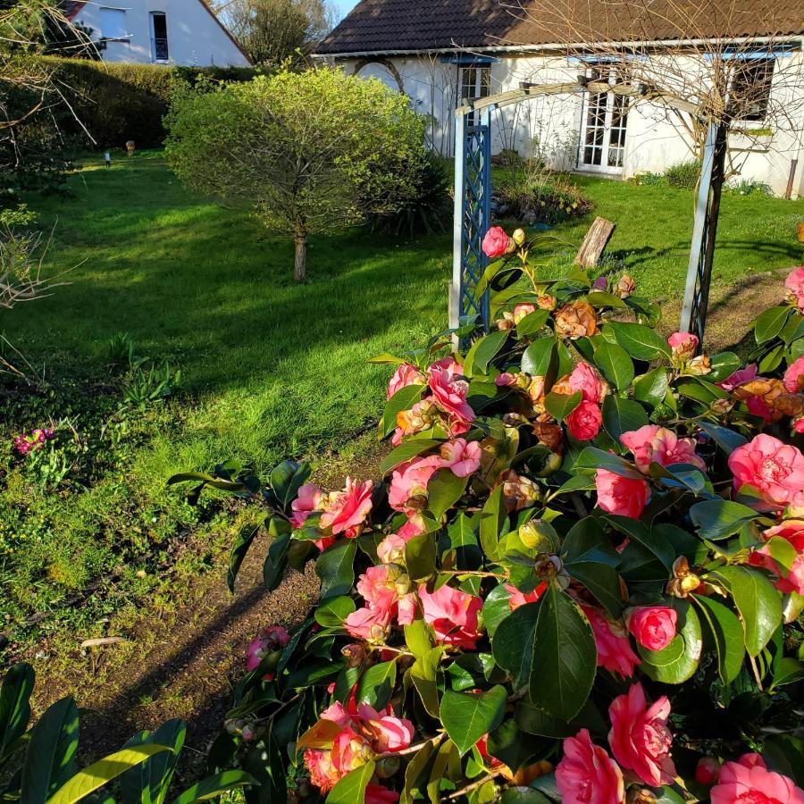 Maison Au Calme Avec Jardin Pres Du Chateau, Foret Et Plage Condette Bagian luar foto